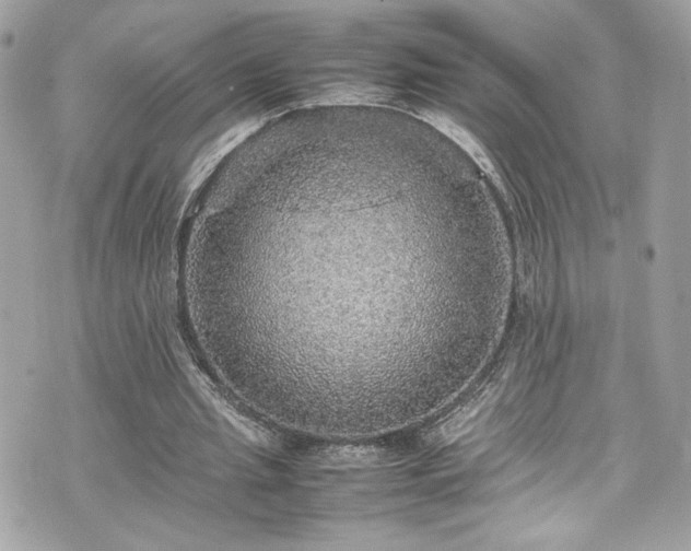 X0000070410437200606161415