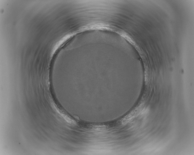 X0000070410438200606161415