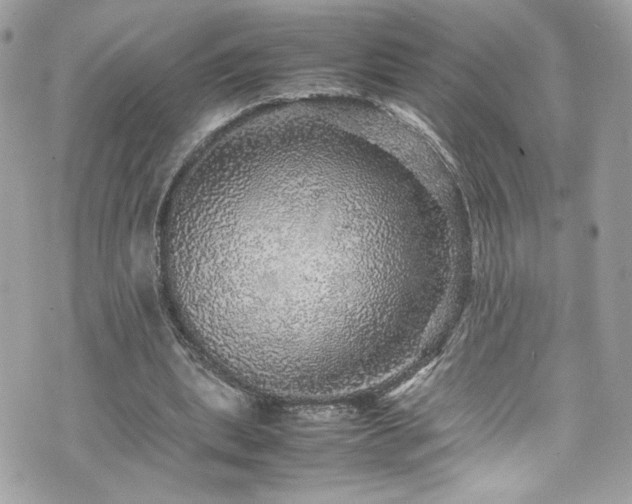 X0000070410439200606161415