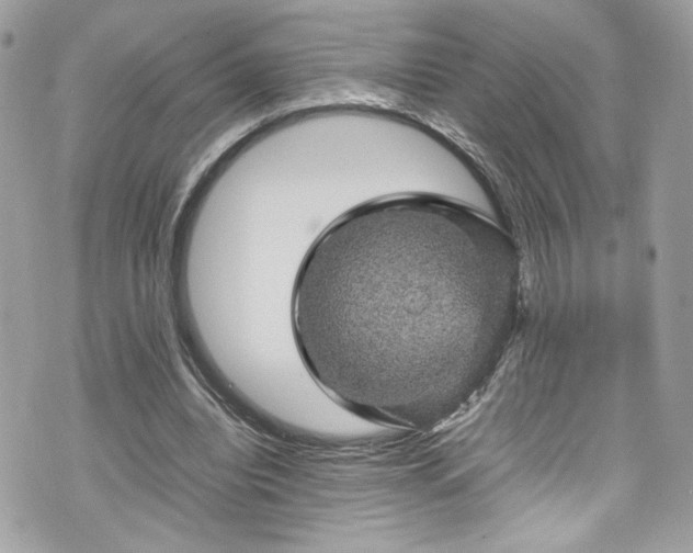 X0000070410440200606161415