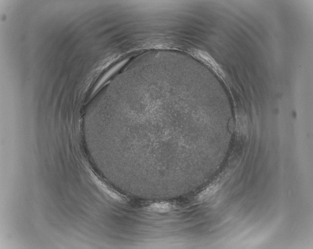 X0000070410441200606161415