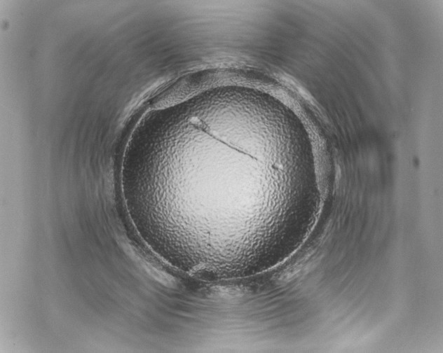 X0000070410442200606161415