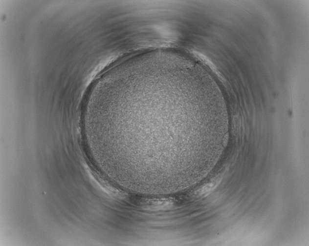 X0000070410443200606161415