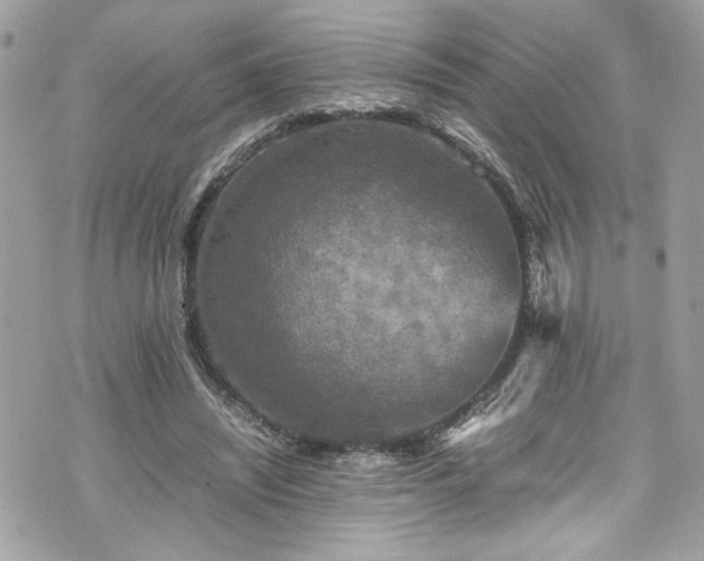 X0000070410444200606161415