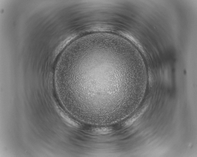 X0000070410445200606161415