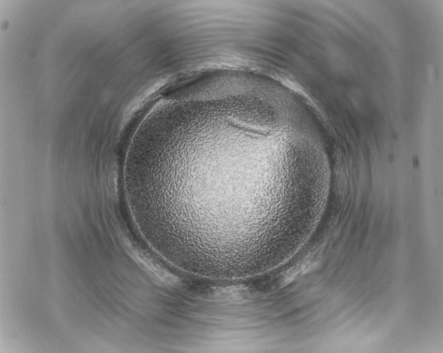 X0000070410446200606161415