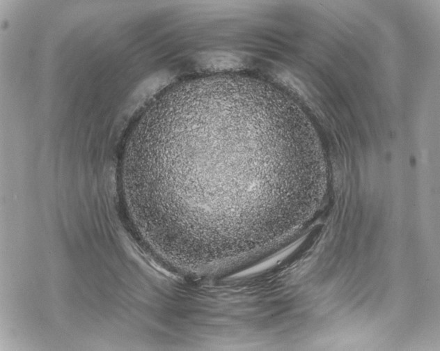 X0000070410447200606161415