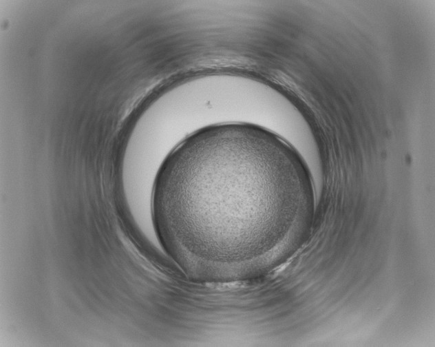 X0000070410448200606161415