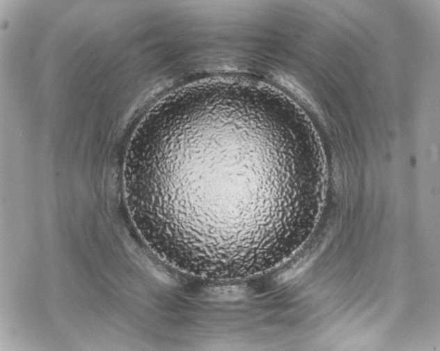 X0000070410449200606161415