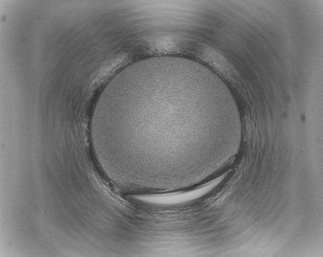 X0000070410450200606161415