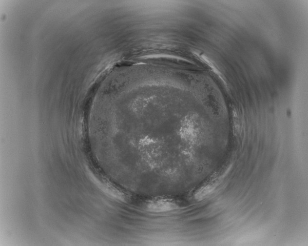 X0000070410451200606161415