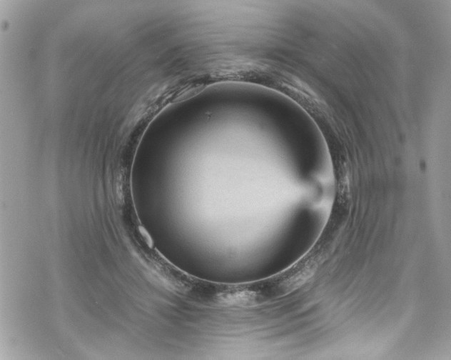 X0000070410452200606161415