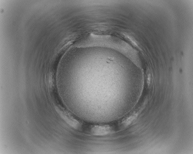 X0000070410455200606161415