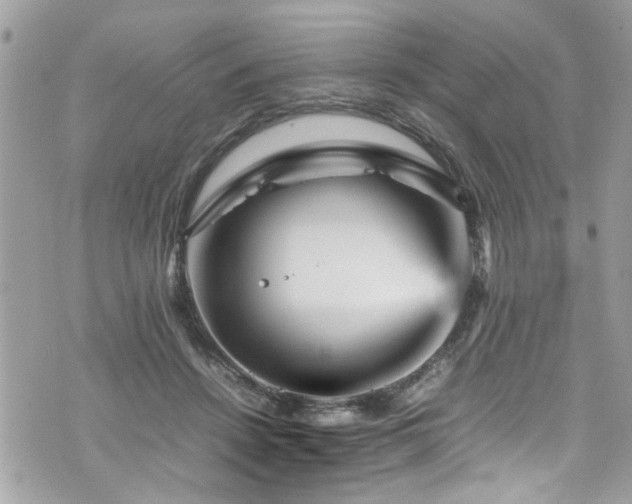 X0000070410456200606161415