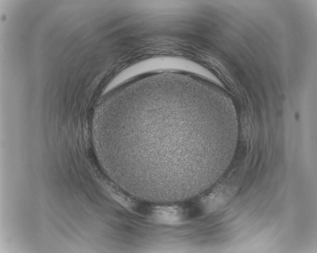 X0000070410457200606161415