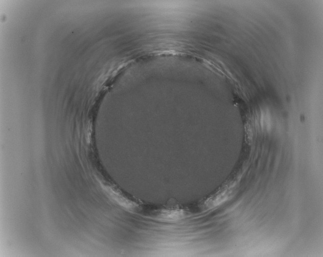 X0000070410458200606161415