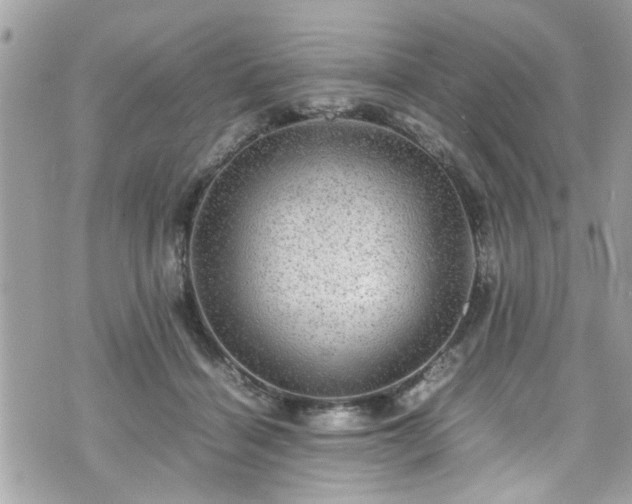 X0000070410460200606161415