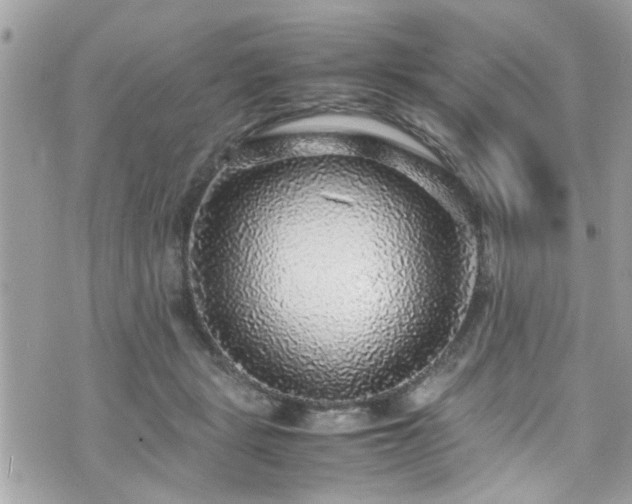 X0000070410461200606161415