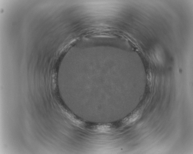 X0000070410462200606161416