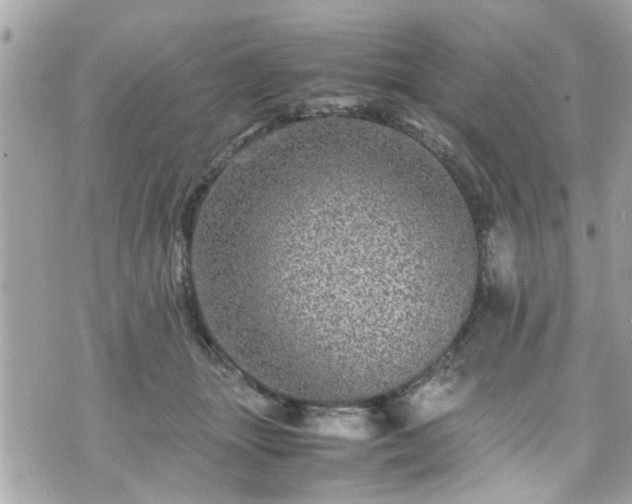 X0000070410463200606161416