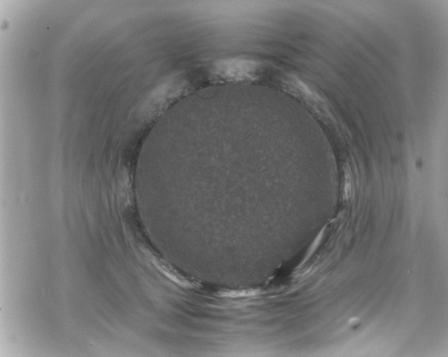 X0000070410465200606161416