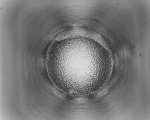 X0000070410466200606161416