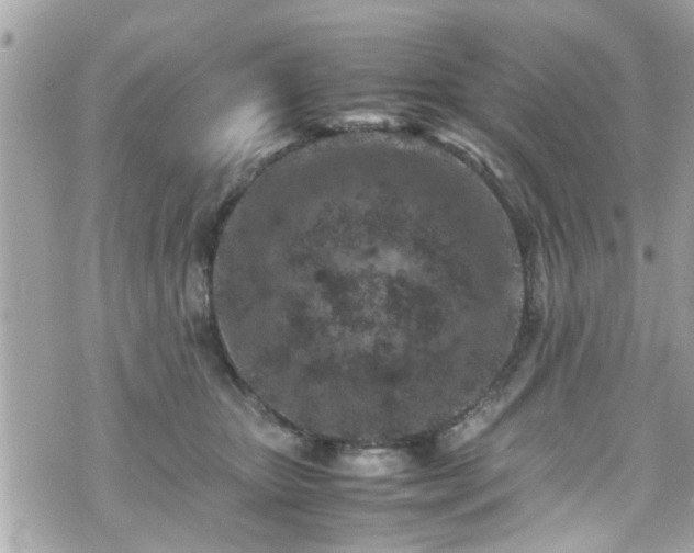 X0000070410467200606161416