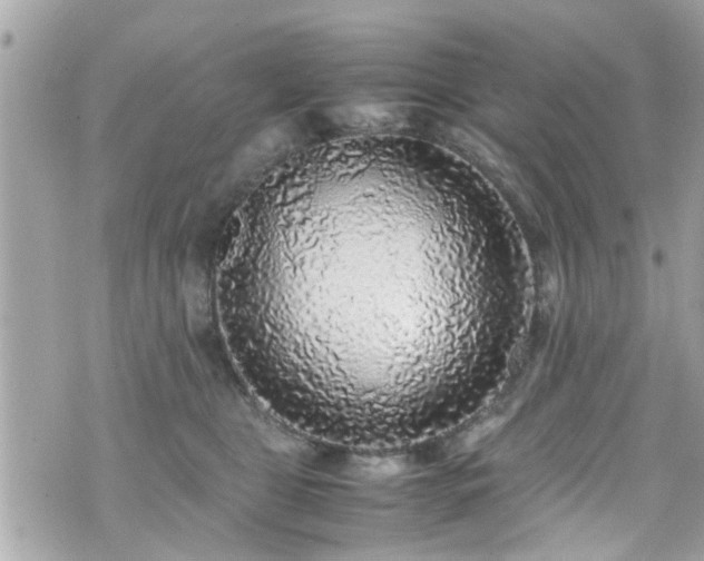 X0000070410469200606161416