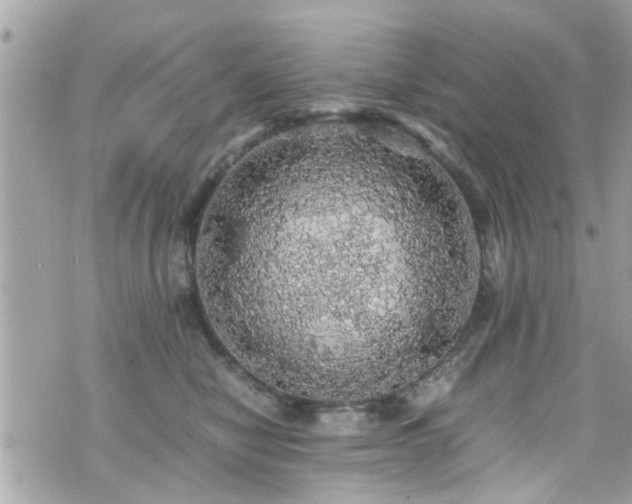 X0000070410470200606161416