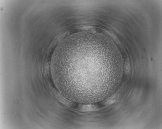 X0000070410473200606161416