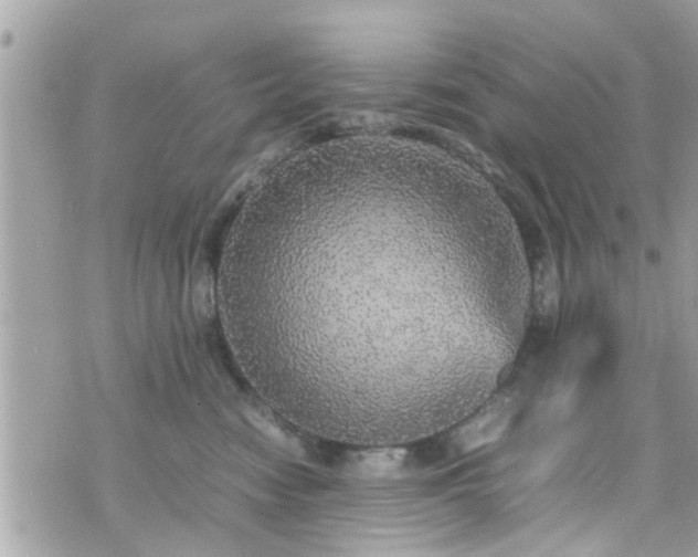 X0000070410474200606161416