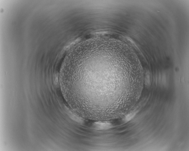 X0000070410477200606161416