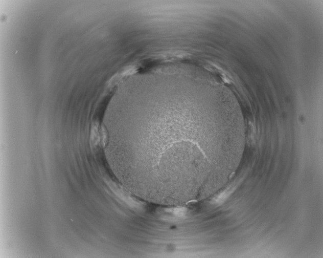 X0000070410478200606161416