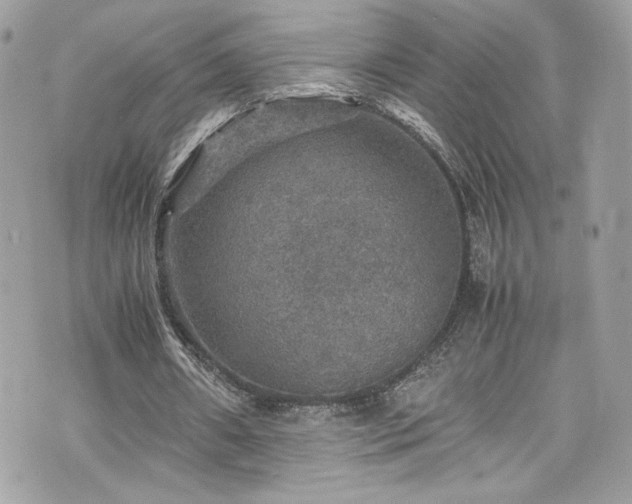 X0000070410482200606161415