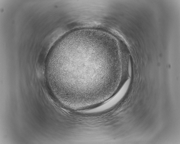 X0000070410483200606161415