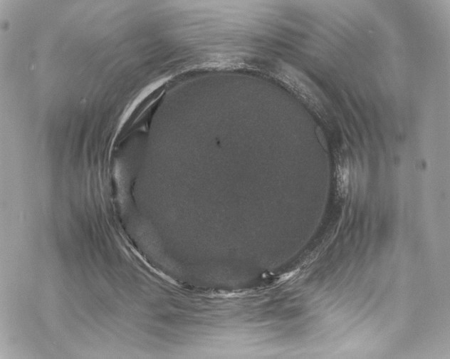 X0000070410484200606161415