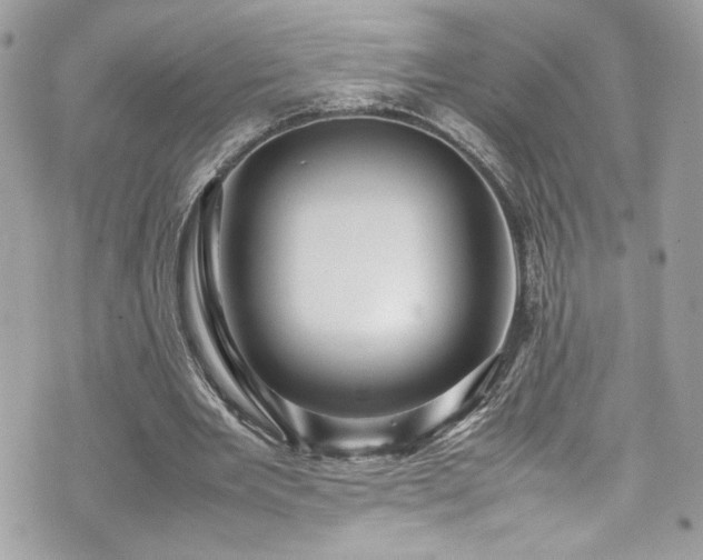 X0000070410485200606161415