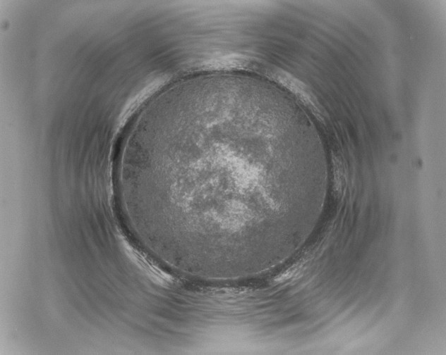 X0000070410486200606161415