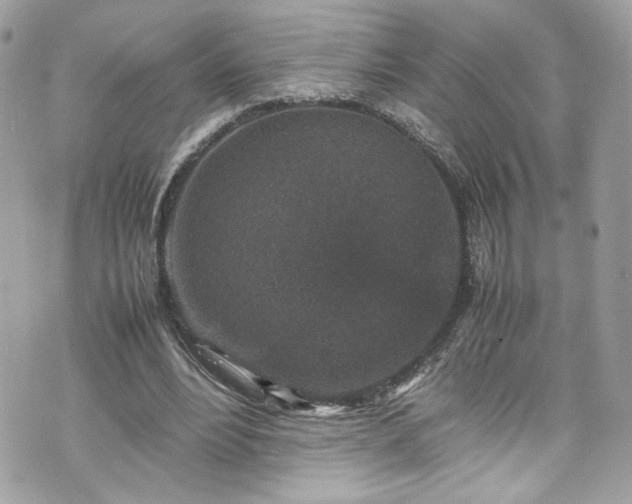 X0000070410488200606161415