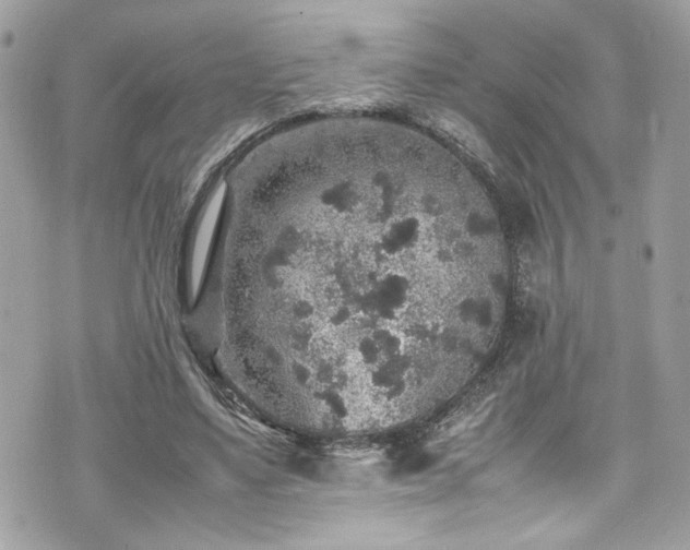 X0000070410491200606161415