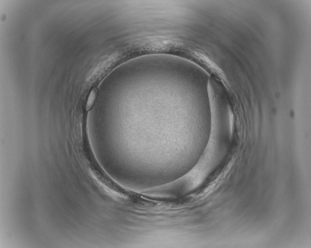 X0000070410493200606161415