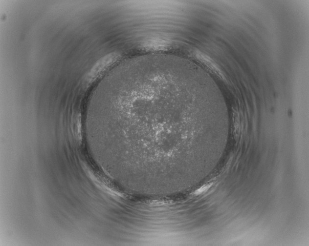 X0000070410494200606161415