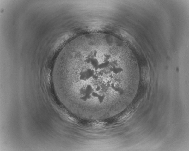 X0000070410495200606161415