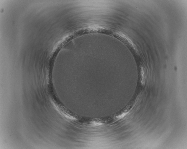 X0000070410496200606161415