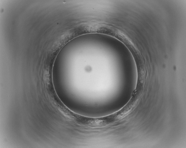 X0000070410497200606161415