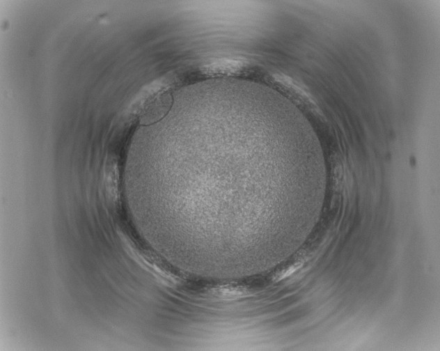 X0000070410498200606161415