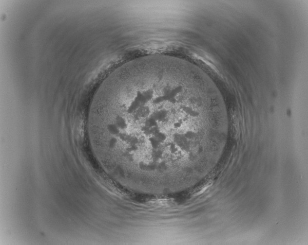 X0000070410499200606161415