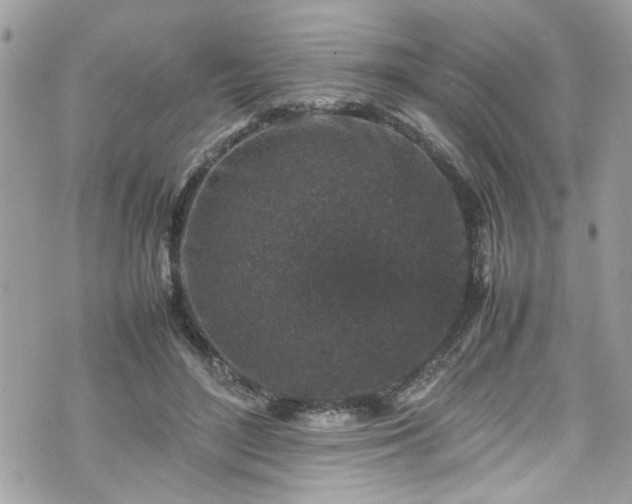 X0000070410500200606161415