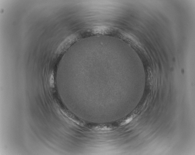 X0000070410502200606161415