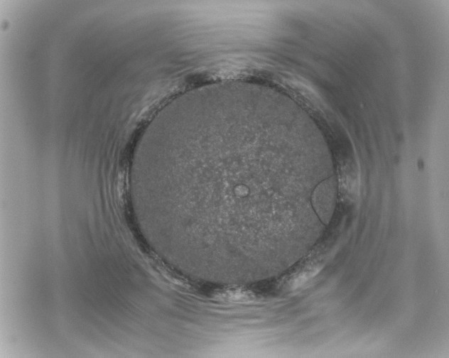 X0000070410503200606161415